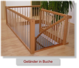 Geländer in Buche