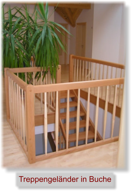 Treppengeländer in Buche